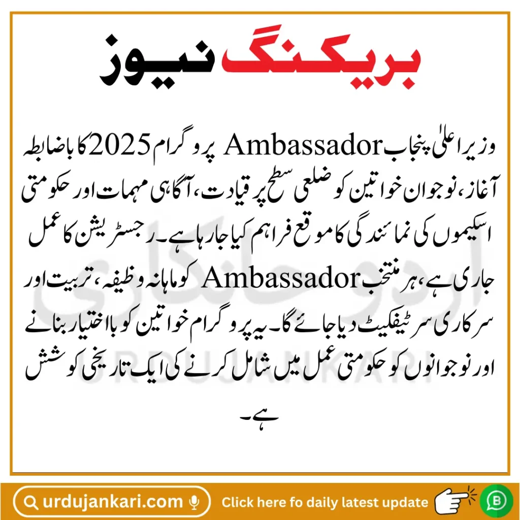 CM Punjab Ambassador Program Registration 2025